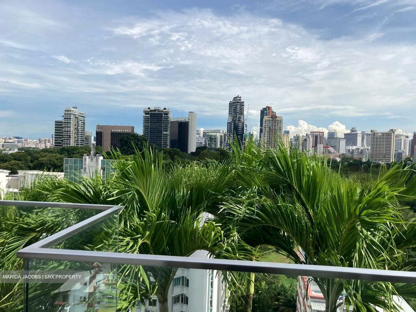 The Oliv (D10), Apartment #480591221